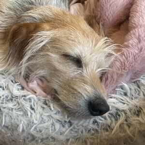 Meet your Posher, Elaine